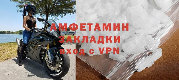 прущие грибы Зеленодольск